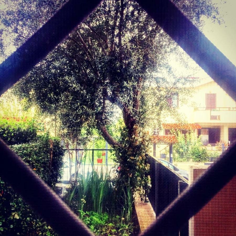 Spazio E Tranquillità A Appartement *